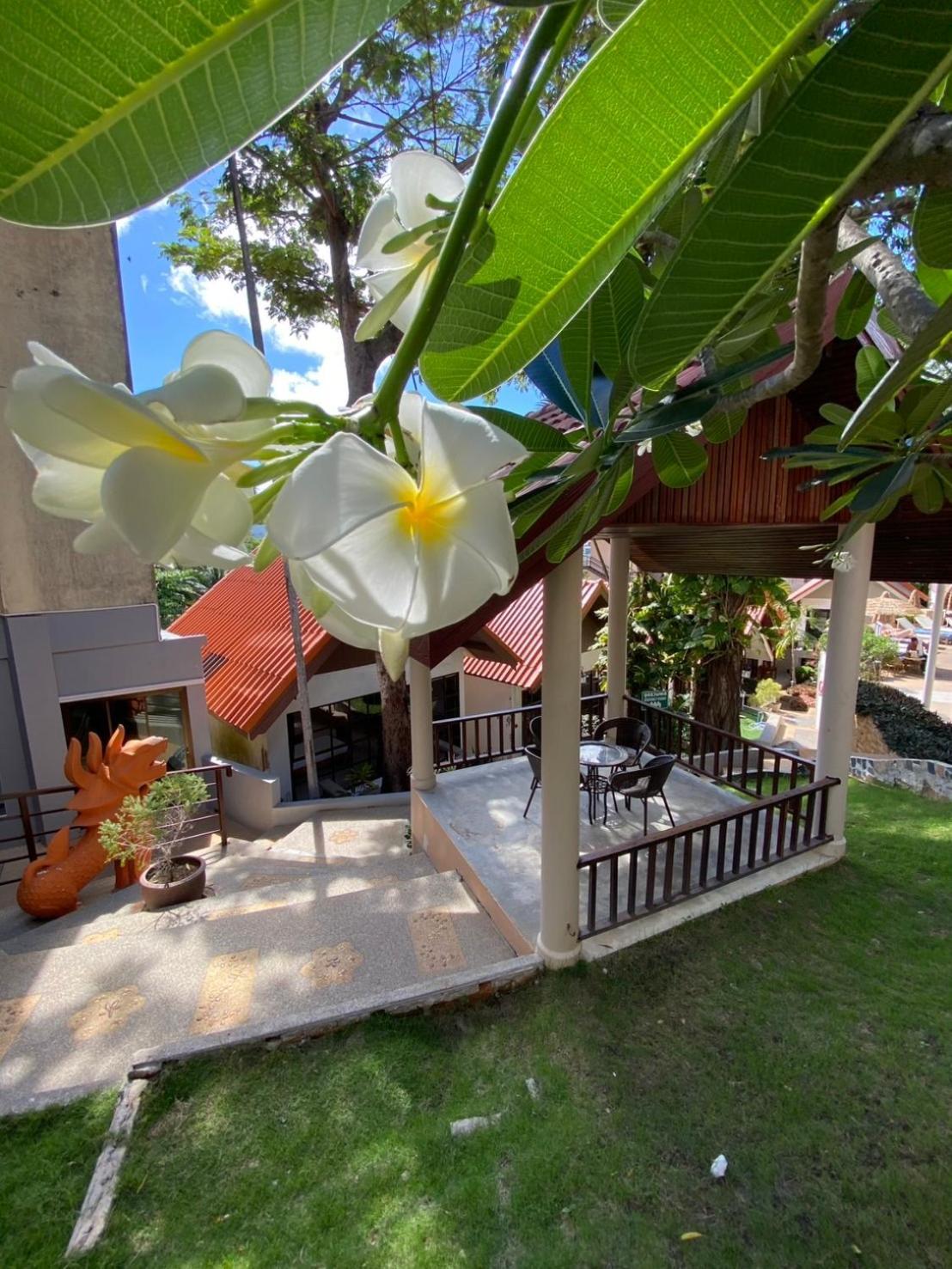 Club Bamboo Boutique Patong Beach Resort מראה חיצוני תמונה